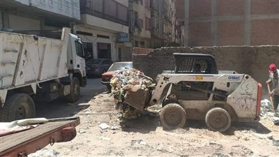 صيانة أعمدة الإنارة ورفع 287 طن قمامة من شوارع الدقهلية.. صور 