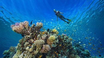  The Times البريطانية تشرح مصر للسائح لقضاء أجازة صيفية مناسبة وممتعة 