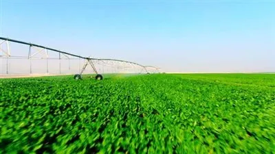 الريف المصري: استصلاح 960 ألف فدان من بني مزار لطريق ديروط الفرافرة (فيديو)