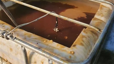 غلق وتشميع مخزن زيوت لبيعها مستعملة للمواطنين بالطالبية 