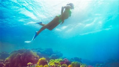 مؤشر السياحة العالمي: مصر الأولى أفريقيًا والخامسة شرق أوسطيًا وارتفاع تقييمها عن 2019