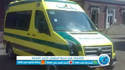 بالأسماء.. إصابة 19 شخصًا في انقلاب سيارة بطريق 