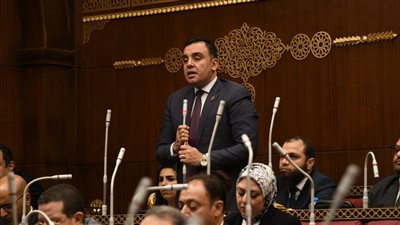 محمد السباعي نائب التنسيقية: ذوو الإعاقة يساهمون في الناتج القومي 