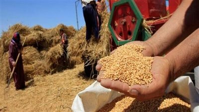 ممدوح غراب يكشف نسبة توريد محافظة الشرقية لمحصول القمح