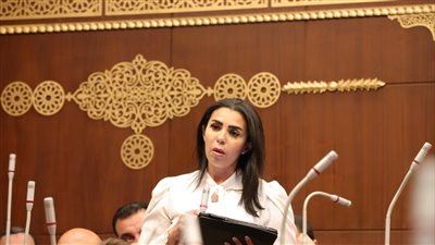 برلمانية: وزارة التخطيط طموحة ولكن خطتها بعيدة عن قدرات الجهات المعنية 
