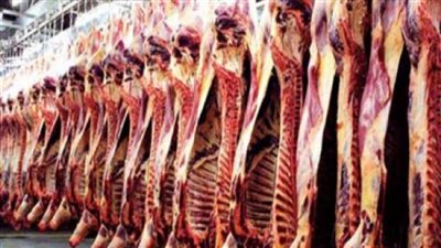 أسعار اللحوم اليوم الخميس 11-8-2022 في أسواق قنا