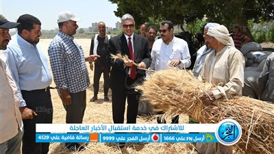 بدء موسم حصاد القمح بمزارع كلية الزراعة بالفيوم 