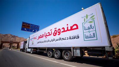 صندوق تحيا مصر:  القوافل الاجتماعية مستمرة طوال العام (فيديو)