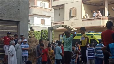 تفاصيل جديدة في واقعة مقتل ٣ أطفال ذبحا بالدقهلية