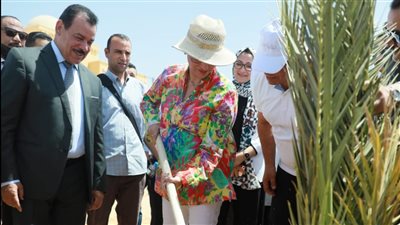 وزيرة البيئة ومحافظ الوادي الجديد يطلقان حملة لزراعة 1000 شجرة بالمحافظة 