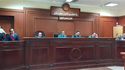 إحالة أوراق ربة منزل وعشيقها بالإسكندرية إلى المفتي