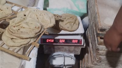 تحرير 58 محضرًا خلال حملة تموينية بالدقهلية 