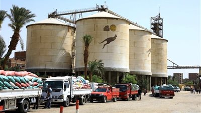 محافظ سوهاج: توريد 85 ألف طن أقماح للشون والصوامع حتى الآن