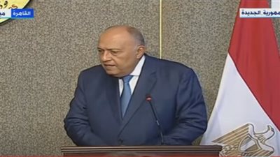 سامح شكري يكشف تفاصيل لقاء وزير خارجية تنزانيا مع الرئيس السيسي