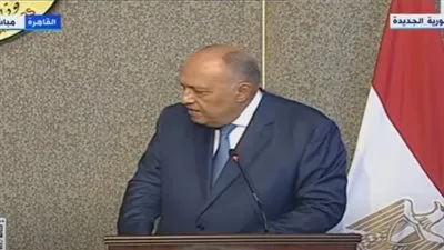 سامح شكري يكشف تفاصيل مباحثاته مع نظيرته التنزانية بشأن سد النهضة