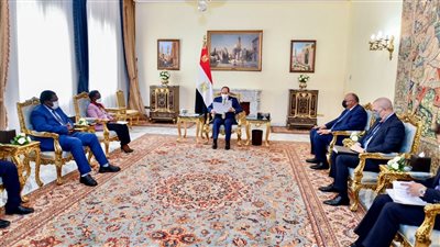  الرئيس السيسي: موقف مصر ثابت بالحفاظ على أمنها المائي 