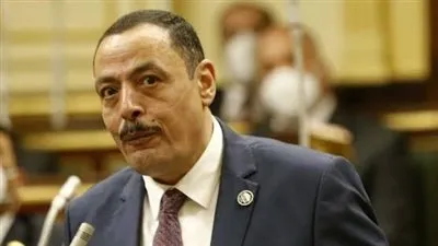 برلماني: إنجازات الرئيس في الثماني سنوات تميزت بالتعددية والشمولية 