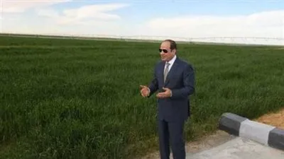 مستشار مشروع 