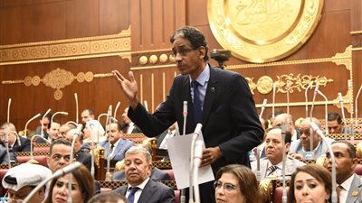 نائب بالشيوخ يطالب بدعم الصناعات الصغيره للنهوض بالاقتصاد المصري