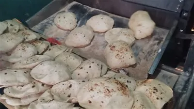 تفاصيل حملات تموينية مكبرة تحرر 27 محضرا بمخابز الدقهلية (صور) 