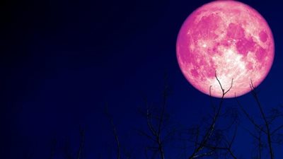 ذروته اليوم.. البحوث الفلكية يكشف سبب تسمية قمر الفراولة بهذا الاسم (فيديو)