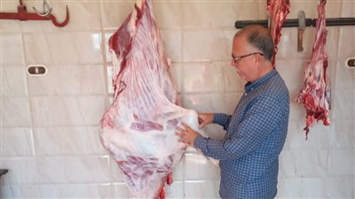 ضبط لحوم خارج السلخانة ومخابز مخالفة فى حملة تموينية باجا بالدقهلية