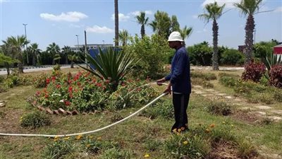 تفاصيل حملات نظافة وتجميل وإزالات مكبرة في مراكز الدقهلية 