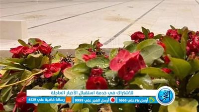 زراعة 6600 شجرة مثمرة في مراكز أسيوط 