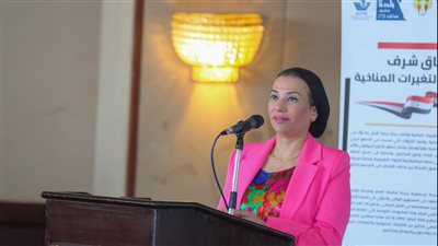 فؤاد: تمويل مشروعات المناخ سيعتمد على أدوات تمويلية مبتكرة