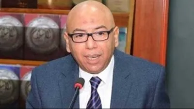 الدبلوماسية الرئاسية.. كيف نجحت مصر في تعظيم دورها الاقليمي والدولي؟ (فيديو)