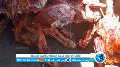 ضربة قاسية للمخالفين.. ضبط 59 طن مواد غذائية فاسدة ومحتكرة في كفر الشيخ 