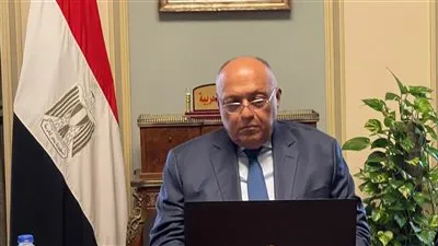 وزير الخارجية يبحث مع نظرائه الأوروبيين قضايا المناخ 