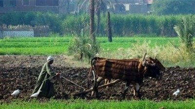 البرلمان يوفق على مد العمل بوقف ضريبة الأطيان