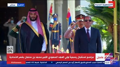 شاهد.. تفاصيل لقاء الرئيس السيسي وولي العهد السعودي بقصر الاتحادية 
