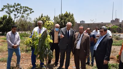 رئيس جامعة بنها يدشن المرحلة الثانية من مبادرة هنجملها لزراعة الأشجار المثمرة 