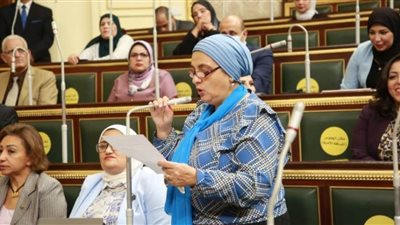 برلمانية: البيان المصري السعودي رسالة حاسمة للحفاظ على الأمن العربي 