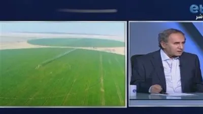 أسامة غزالي حرب: مصر لا تحتاج إلى مولات.. ولكن مصانع (فيديو)