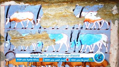 مشاركات علمية حول 