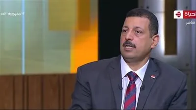 أيمن حمزة يكشف الهدف من مشروع الربط الكهربائي بين السعودية ومصر 