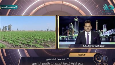  الحجر الزراعي: مصر تحتل المرتبة الأولى عالميًا في تصدير الموالح