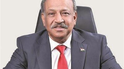 برلماني: ٣٠ يونيو ثورة شعب واجهت مخططات الفوضى