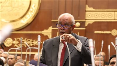 برلماني: ثورة 30 يونيو أنقذت مصر من الأخونة ومحاولات انتزاع هويتها