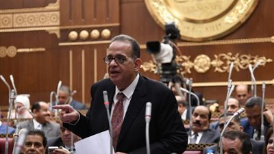 نائب بالشيوخ يطالب بتدشين نصب تذكاري لـ 