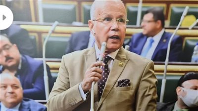 برلماني: مصر لن تنسى الموقف البطولي للسيسي في 30 يونيو 