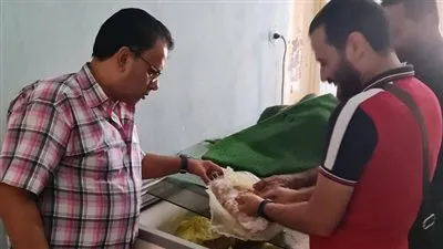 تحرير 12 محضر جنحة صحية وغلق منشأة لوجود خطر داهم