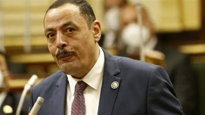 برلماني: ثورة 30 يونيو ملحمة وطنية خالدة أنقذت مصر من الضياع