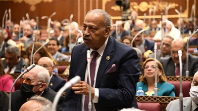 برلماني: 3 يوليو شرارة الانطلاق لبداية التغيير والتنمية في ربوع مصر