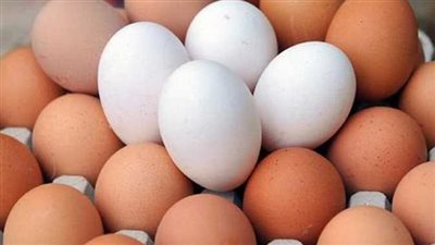 الغرفة التجارية عن سعر كرتونة البيض: 