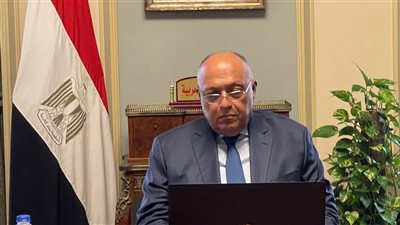 شكري يستقبل وزير خارجية النمسا.. ومؤتمر صحفي مشترك بعد قليل 