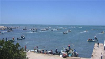 إنتاج سمكي وفرص عمل.. تفاصيل مخطط تطوير بحيرة المنزلة